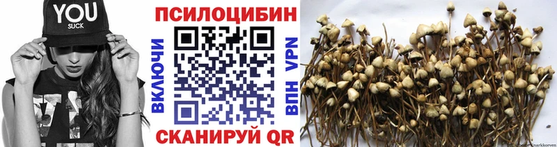 купить  цена  OMG маркетплейс  Псилоцибиновые грибы прущие грибы  Красково 