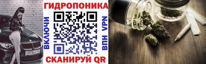 где найти   Красково  Конопля семена 